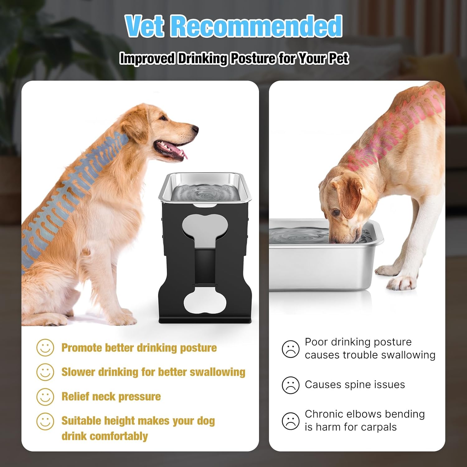 Elevated Large Dog Water Bowl Raised Stainless Steel Bowl with Stand
