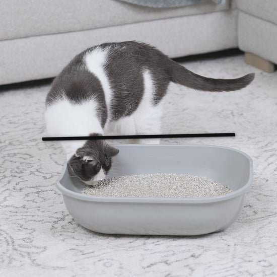 Enclosed Stainless Steel Litter Box with Lid, XL Sifting Litter Box for Pine Pellets