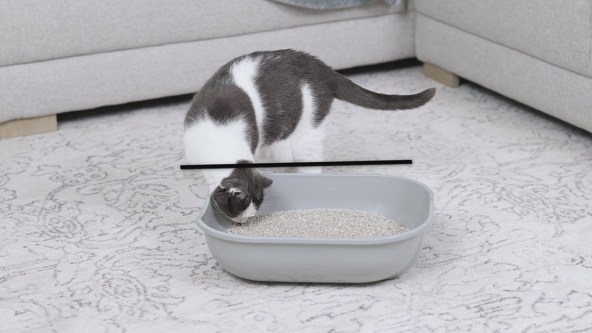 Enclosed Stainless Steel Litter Box with Lid, XL Sifting Litter Box for Pine Pellets