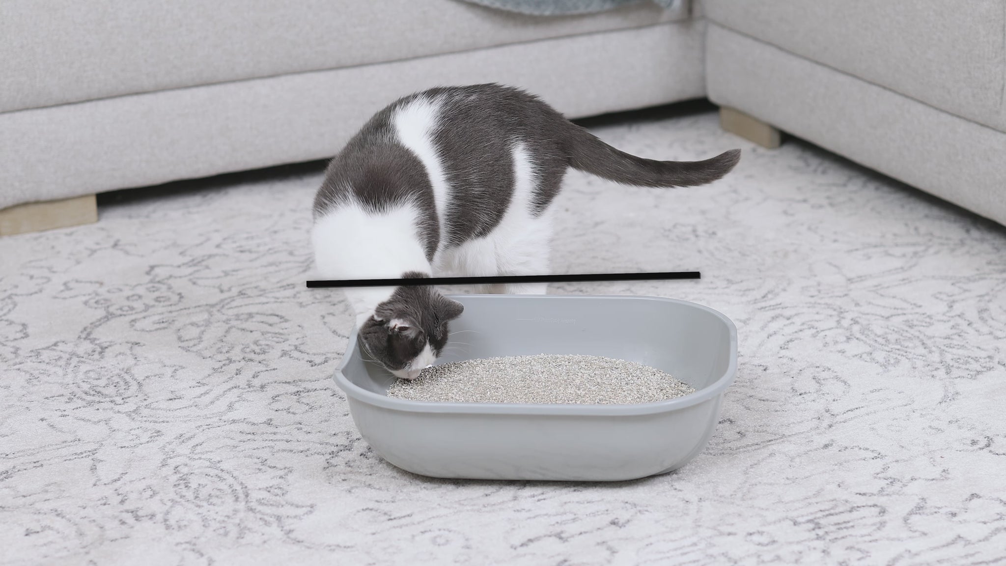 Enclosed Stainless Steel Litter Box with Lid, XL Sifting Litter Box for Pine Pellets