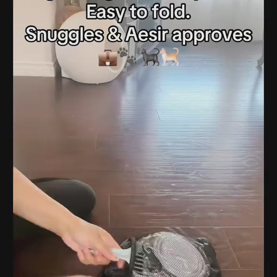 Collapsible Litter Box Setup Guide for travel