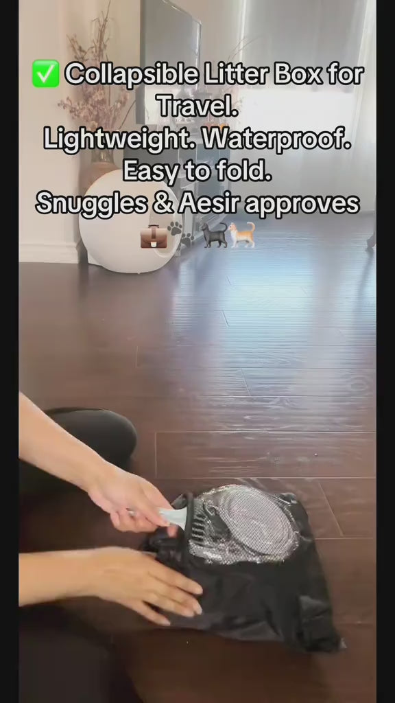 Collapsible Litter Box Setup Guide for travel